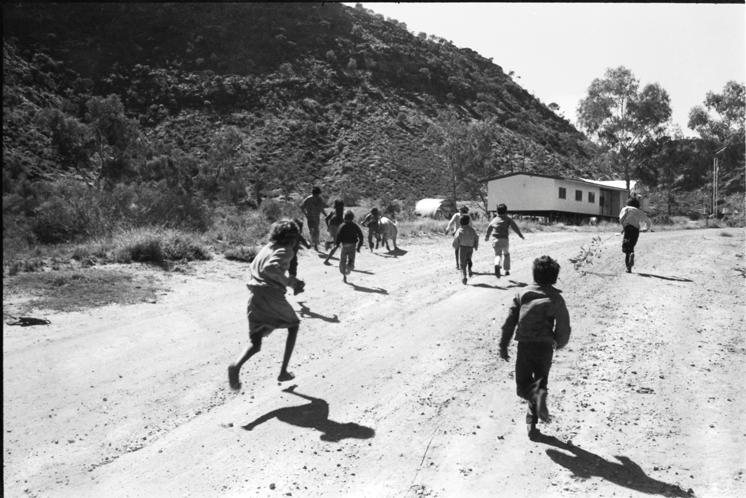 Children Chasing Areyonga Pig  - Konrad Winkler photographer