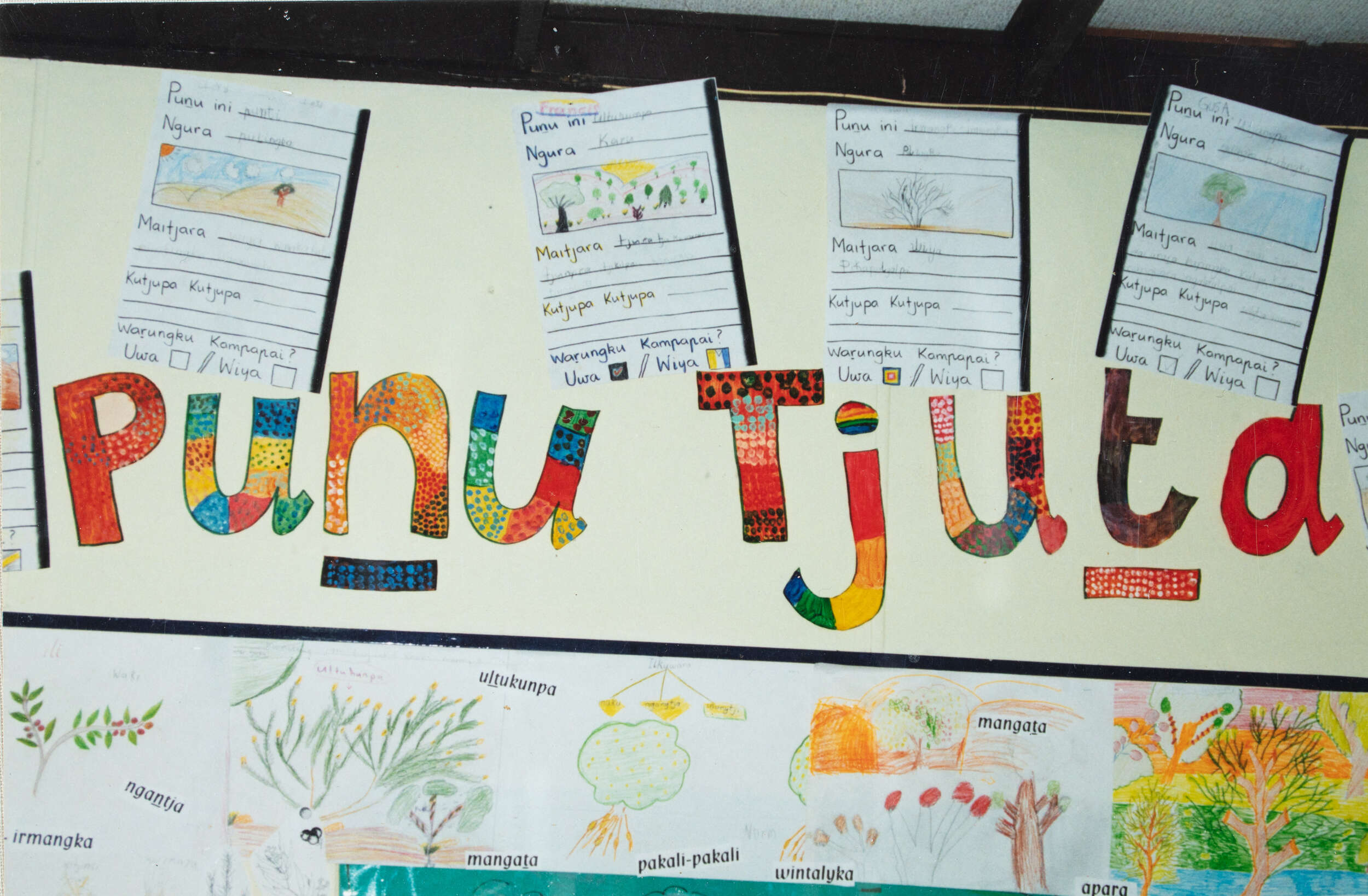 Class room display in Pitjantjatjara- Areyonga School