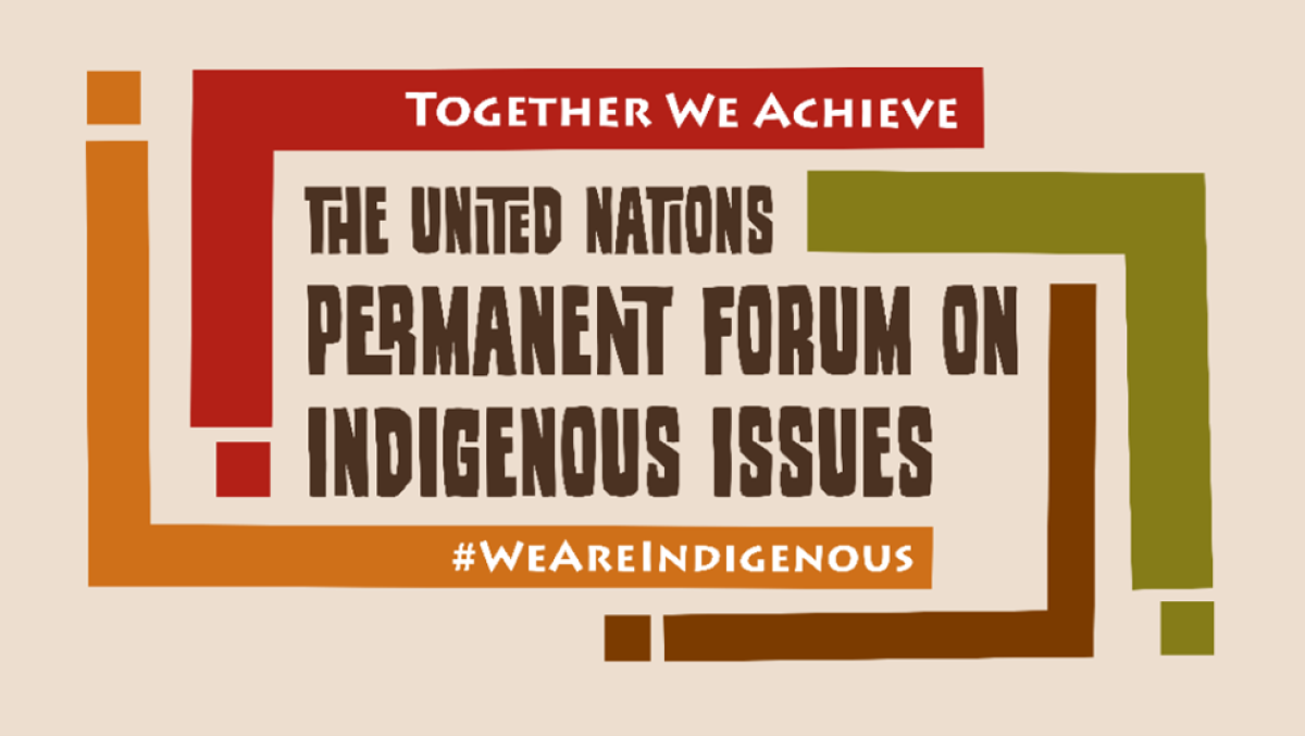 UNPFII logo